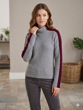 Brown Allan Extra Fine Merino Wool Colorblock Turtleneck Sweater